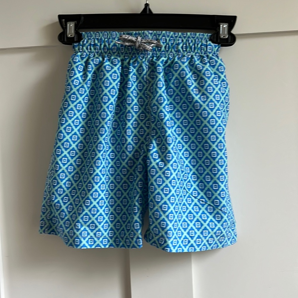 Michael’s Swimwear Blue and Green Swim Trunks
